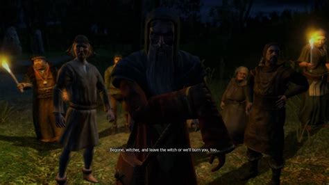the witcher beast fight.
